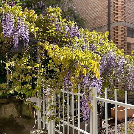 乌尔比诺Il Glicine - Monolocale A Due Passi Dal Centro别墅 外观 照片